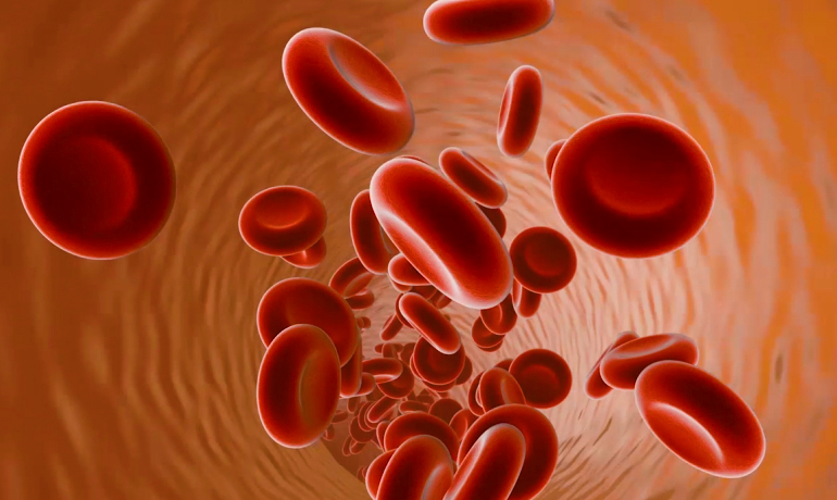 红细胞医学动画案例